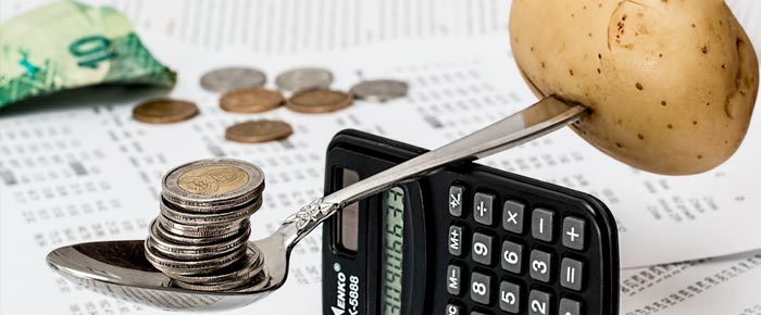 how to create a basic budget